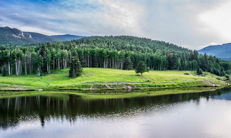 Läs mer om artikeln Ett vittnesmål från Eriksberg, Uppsala